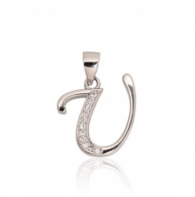 Sidabrinis pakabukas0