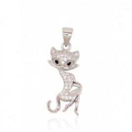 Sidabrinis pakabukas0