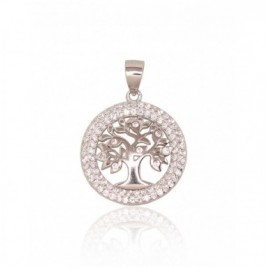 Sidabrinis pakabukas0