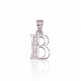 Sidabrinis pakabukas0