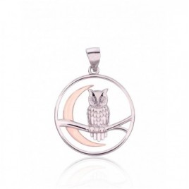 Sidabrinis pakabukas0