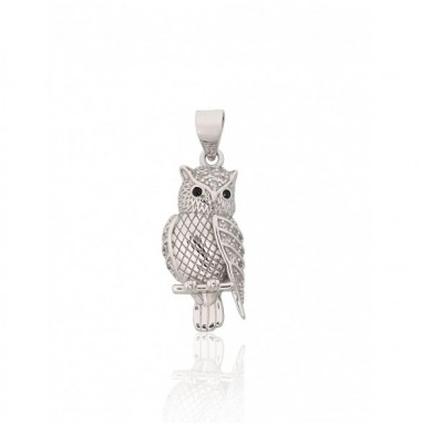 Sidabrinis pakabukas0