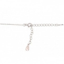 Sidabrinis vėrinys1