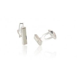 Sidabrinis sąsagos0